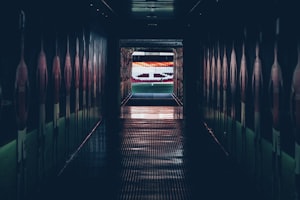 上海海港中超比赛足球